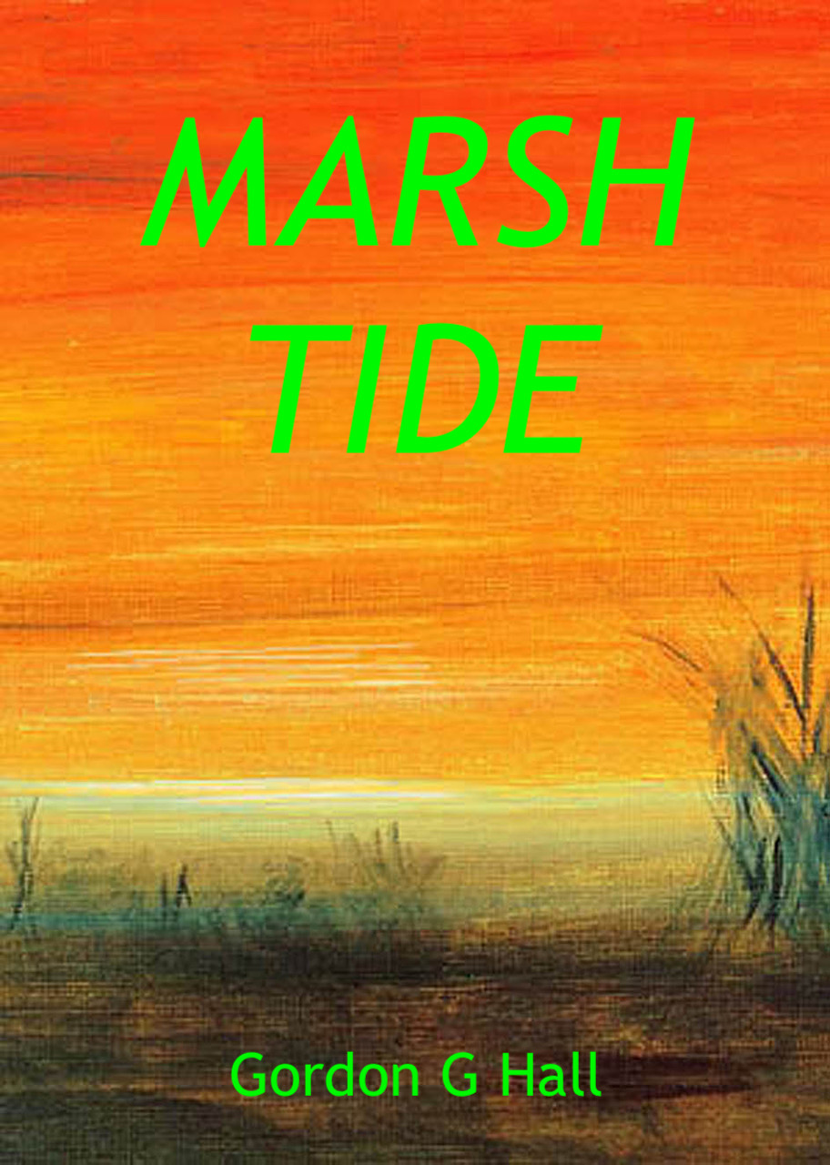The Marshes